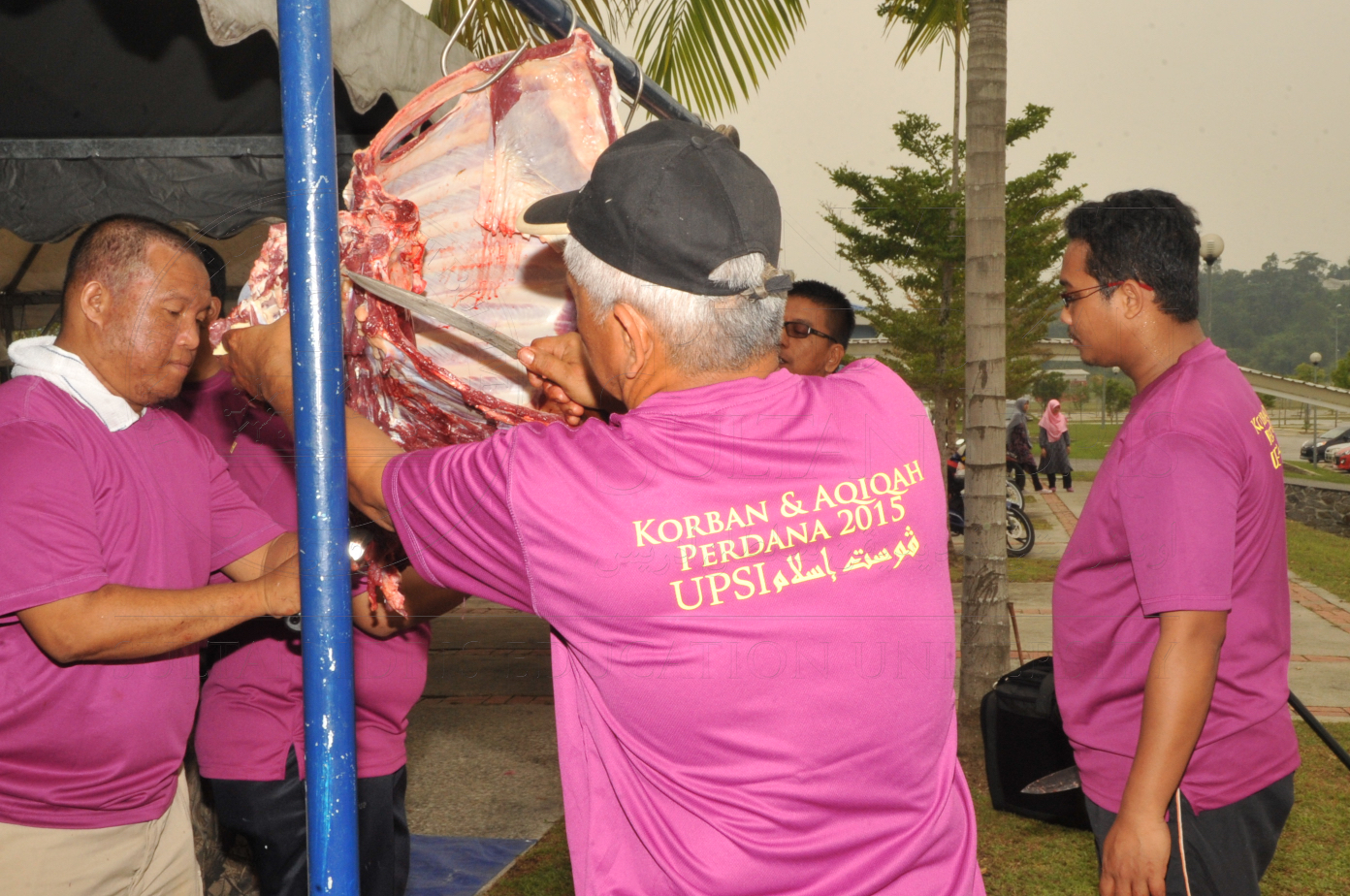 PRO15 150 KORBAN HAS 6908